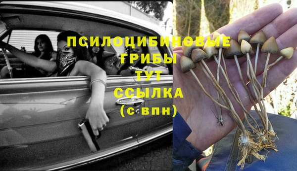 индика Алзамай