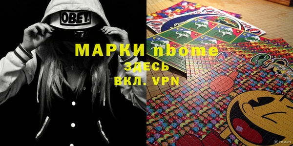 индика Алзамай