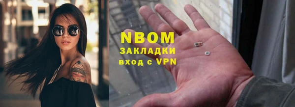 индика Алзамай