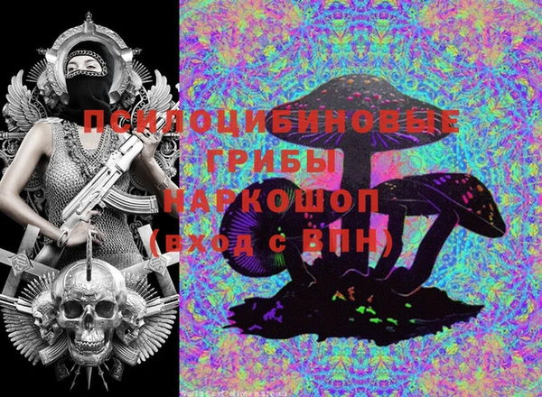 индика Алзамай