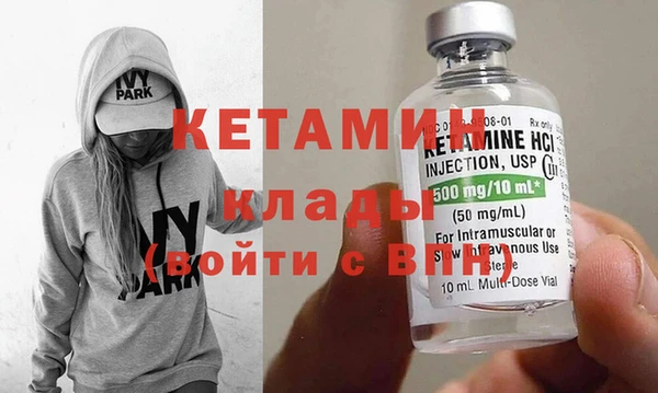 крисы Алексин