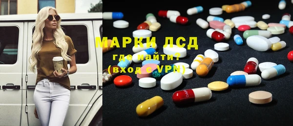 индика Алзамай